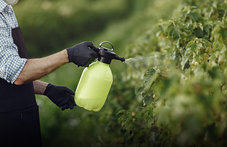 GARDEN SPRAYER GARDEN SPRAYER