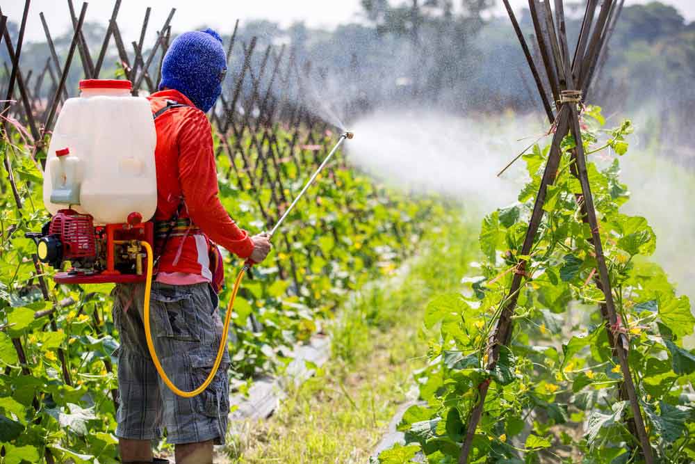 Correct use and maintenance of electric sprayer