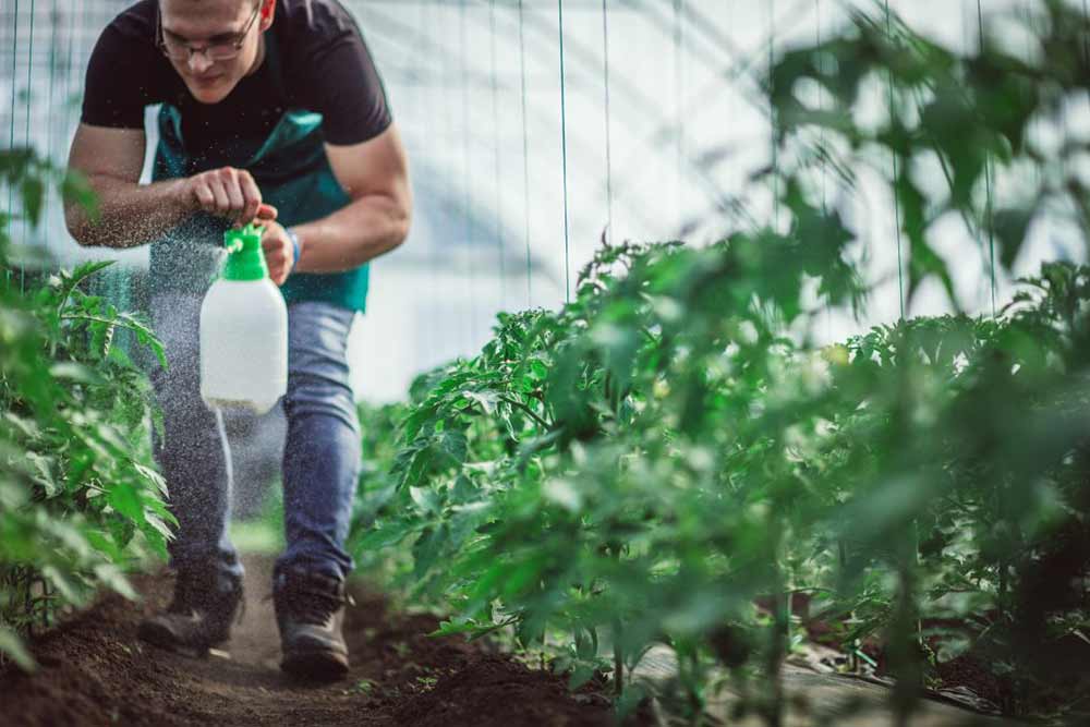 The structure and function of electric sprayer