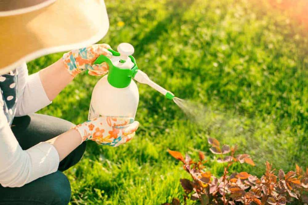 How to use manual sprayer？