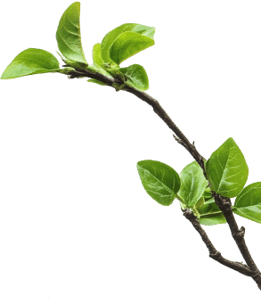 Zhejiang Sanqi Science and Technology Co.,Ltd.